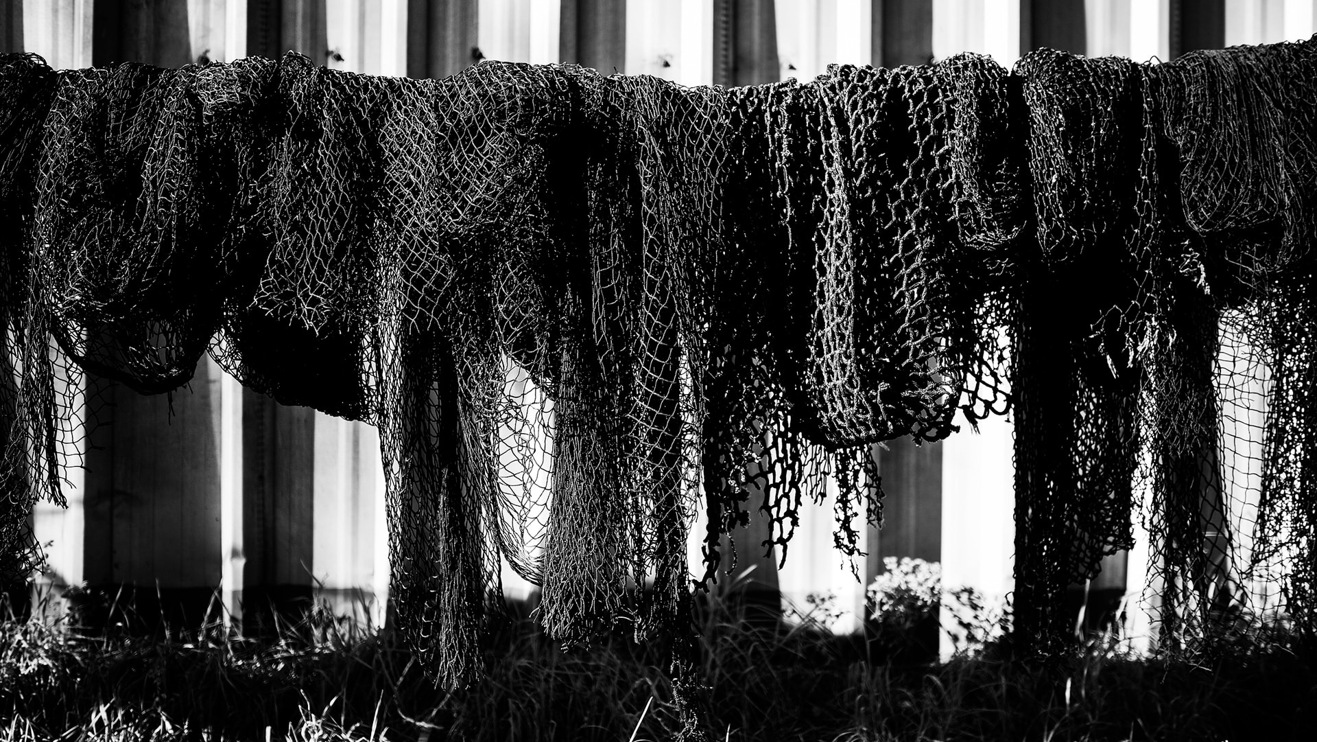 lukturis trek ion 100